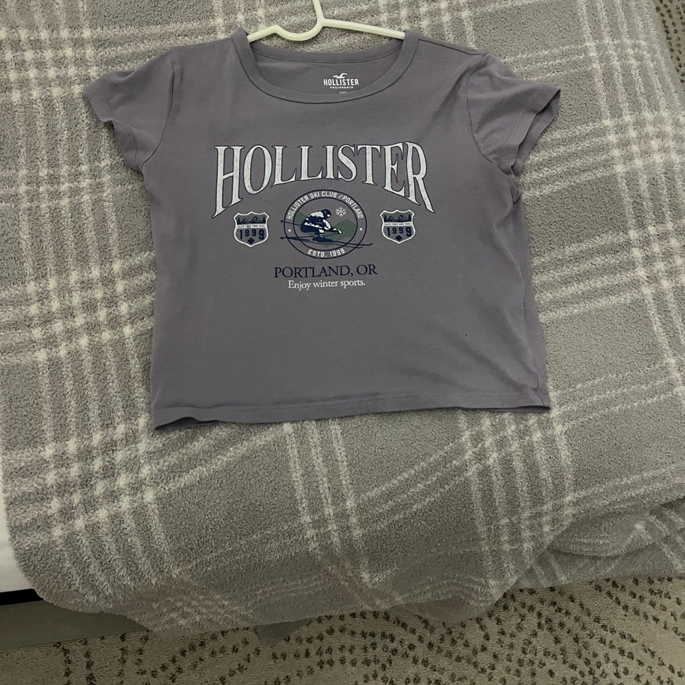 Purple Hollister Crop Top Small